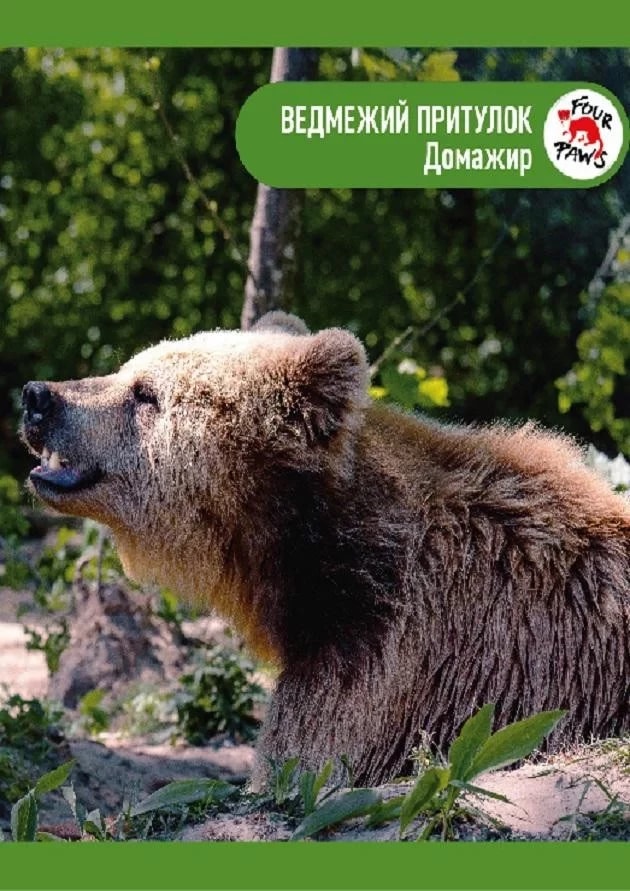 Domazhyr Bear Shelter