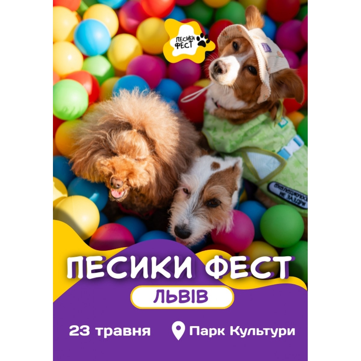PUPPIES FEST 2026 LVIV