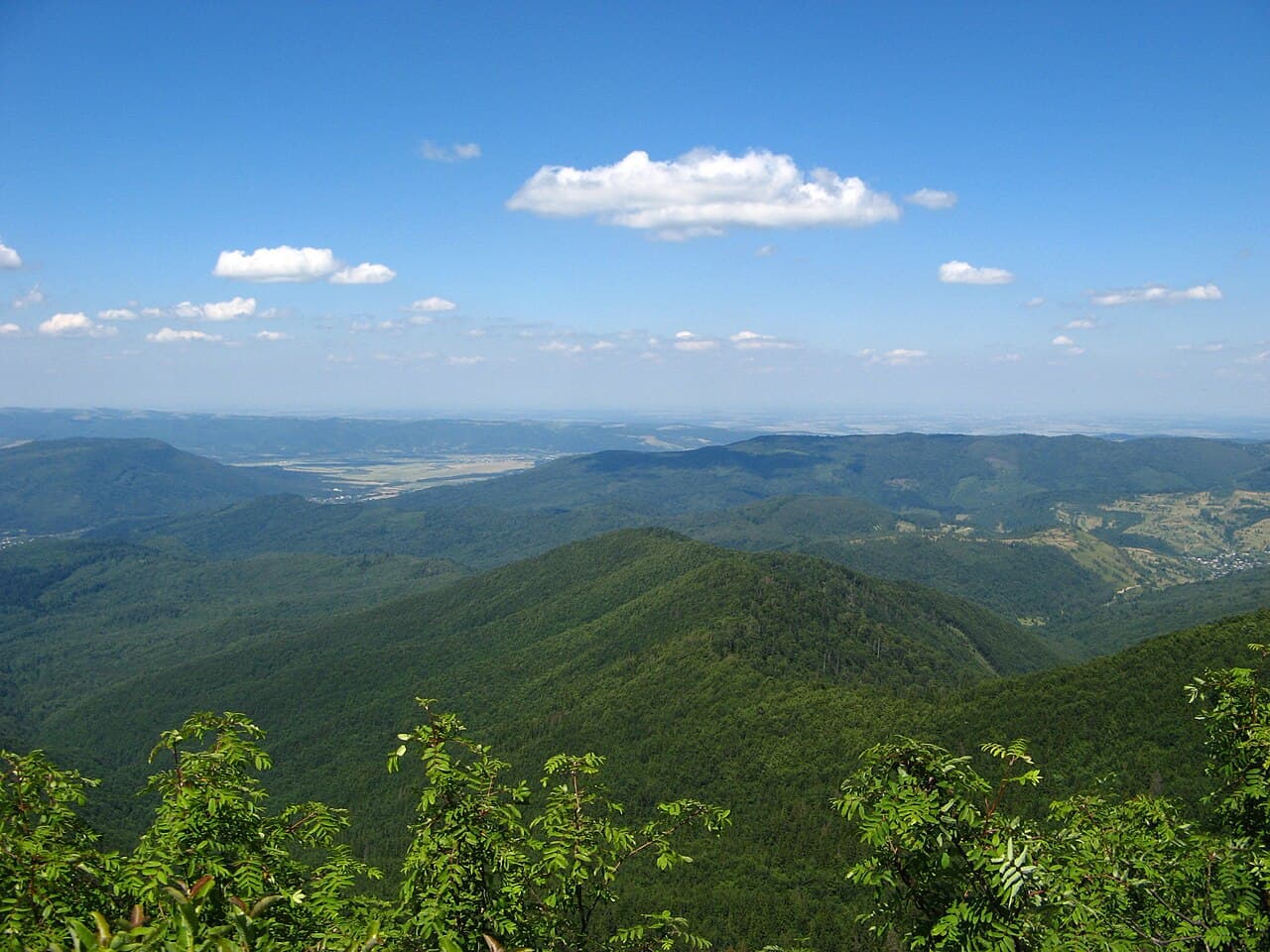 Active Recreation Near Lviv